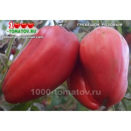 Томат ГРЕБЕШОК РОЗОВЫЙ