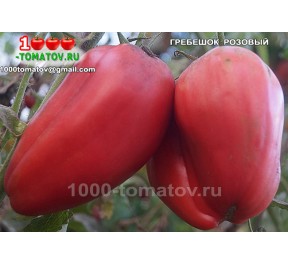 Томат ГРЕБЕШОК РОЗОВЫЙ