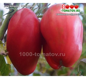 Томат ГРЕБЕШОК РОЗОВЫЙ Томат ГРЕБЕШОК РОЗОВЫЙ