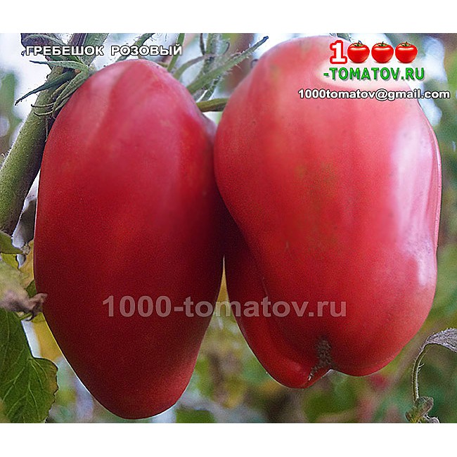 Томат ГРЕБЕШОК РОЗОВЫЙ Томат ГРЕБЕШОК РОЗОВЫЙ