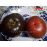 Томат ВОСТОРГ СЕРДЦА ЧЁРНЫЙ Heart's Delight Black  Томат ВОСТОРГ СЕРДЦА ЧЁРНЫЙ Heart's Delight Black