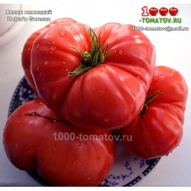 Томат ХЕЛЕН НЕМЕЦКИЙ Томат ХЕЛЕН НЕМЕЦКИЙ