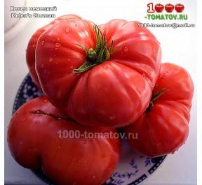 Томат ХЕЛЕН НЕМЕЦКИЙ