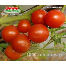 Томат ХОН-ЦАЙ-БАО