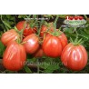 Томат ИНЖИР РОЗОВЫЙ Томат ИНЖИР РОЗОВЫЙ