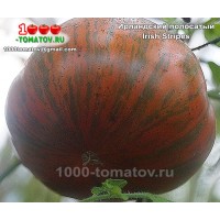 Томат ИРЛАНДСКИЙ ПОЛОСАТЫЙ 