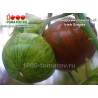 Томат ИРЛАНДСКИЙ ПОЛОСАТЫЙ 