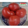 Томат КАРДИО Томат КАРДИО