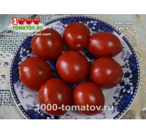 Томат КАРЛИК