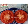 Томат КАС 15 KAS 15