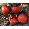 Томат КАС 21  Kas 21 Томат КАС 21  Kas 21