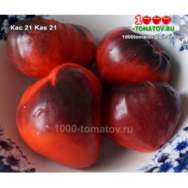 Томат КАС 21  Kas 21