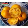 Томат КАЗАХСТАНСКИЙ ЖЁЛТЫЙ