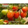 Томат КЕЧКЕМЕТИ 549 Kecskeméti  549 