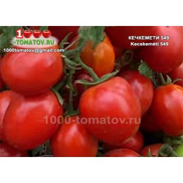Томат КЕЧКЕМЕТИ 549 Kecskeméti  549 