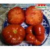 Томат КИШИНЁВСКИЕ