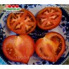 Томат КЛУБНИЧНОЕ ДЕРЕВО  