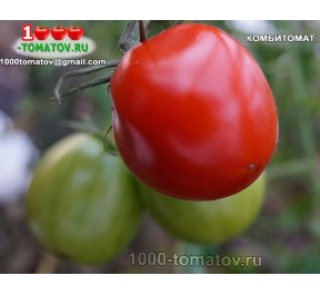Томат КОМБИТОМАТ