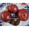 Томат КОРОЛЕВСКИЙ ФИОЛЕТОВЫЙ