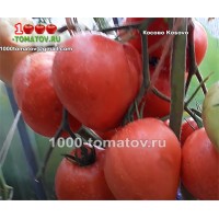Томат КОСОВО