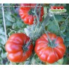 Томат КОСТОЛУТО ДИ ПАРМА