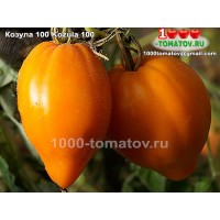 Томат КОЗУЛА 100