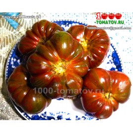 Томат КОЗУЛА 24