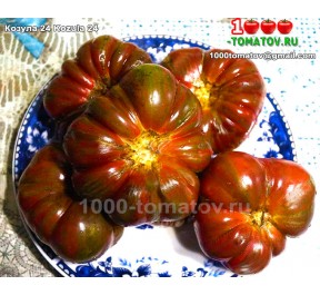 Томат КОЗУЛА 24