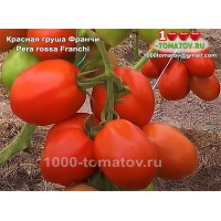 Томат КРАСНАЯ ГРУША ФРАНЧИ