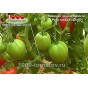 Томат КРАСНАЯ ГРУША ФРАНЧИ