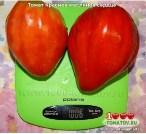 Томат КРАСНОЕ МАСЛЯНОЕ СЕРДЦЕ