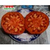 Томат КРАСНЫЙ АНГЕЛ