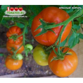 Томат КРАСНЫЙ КОРОЛЬ RED KING