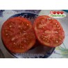 Томат КРАСНЫЙ КОРОЛЬ RED KING