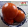 Томат КРАСНЫЙ КОРОЛЬ RED KING