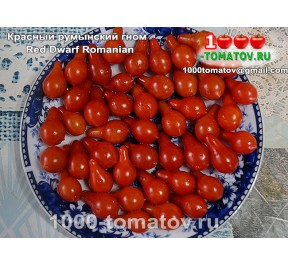 Томат ГНОМ КРАСНЫЙ РУМЫНСКИЙ 