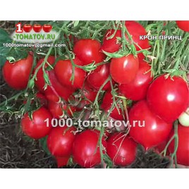 Томат КРОН-ПРИНЦ