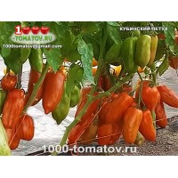 Томат КУБИНСКИЙ ПЕТУХ