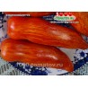 Томат КУБИНСКИЙ ПЕТУХ