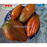 Томат КУБИНСКИЙ ЧЁРНЫЙ