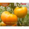 Томат КУБИНСКИЙ СЛАДКИЙ