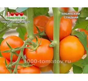 Томат КУБИНСКИЙ СЛАДКИЙ
