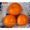Томат КУБИНСКИЙ СЛАДКИЙ