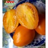 Томат КУРАГА