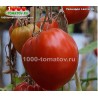 Томат ЛЕОНАРДО