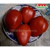 Томат ЛИТОВСКИЙ ХОХЛАТЫЙ