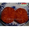 Томат ЛИТОВСКИЙ ХОХЛАТЫЙ