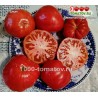 Томат МАЛИНОВЫЙ СЛОН