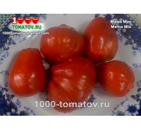 Томат МАМА МИЯ