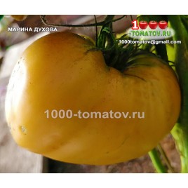 Томат МАРИНА ДУХОВА